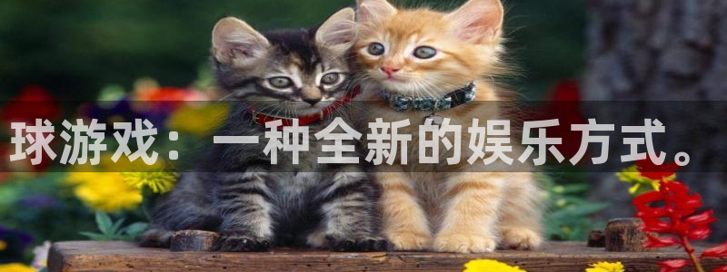 球游戏：一种全新的娱乐方式。