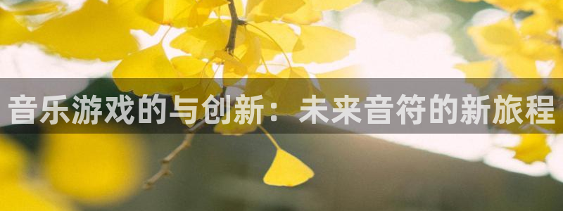 音乐游戏的与创新：未来音符的新旅程