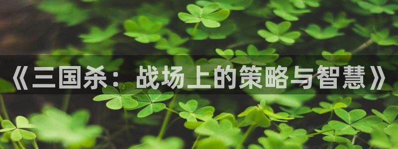 《三国杀：战场上的策略与智慧》