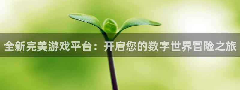 全新完美游戏平台：开启您的数字世界冒险之旅