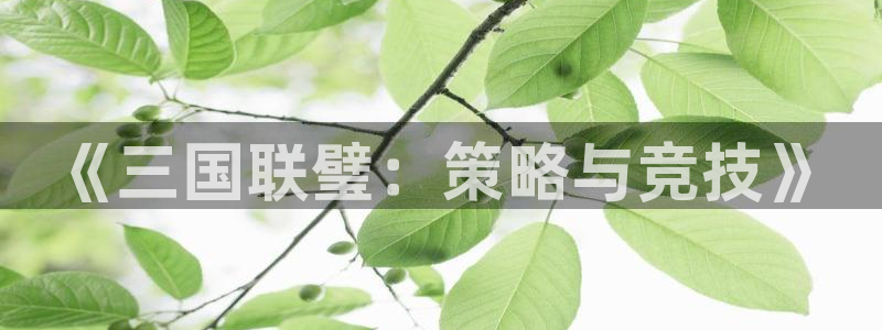 米乐m6加内特代言：《三国联璧：策略与竞技》