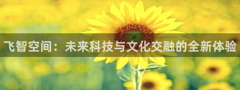 m6米乐网址：飞智空间：未来科技与文化交融的全新体验