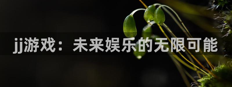 米乐m6违法吗：jj游戏：未来娱乐的无限可能
