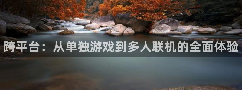 m6米乐home：跨平台：从单独游戏到多人联机的全面体验