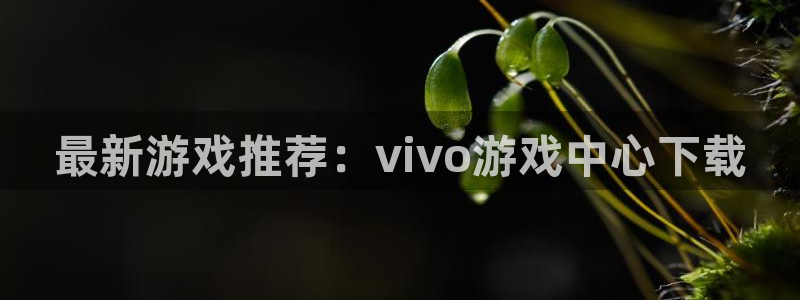 米乐m6登录米乐平台